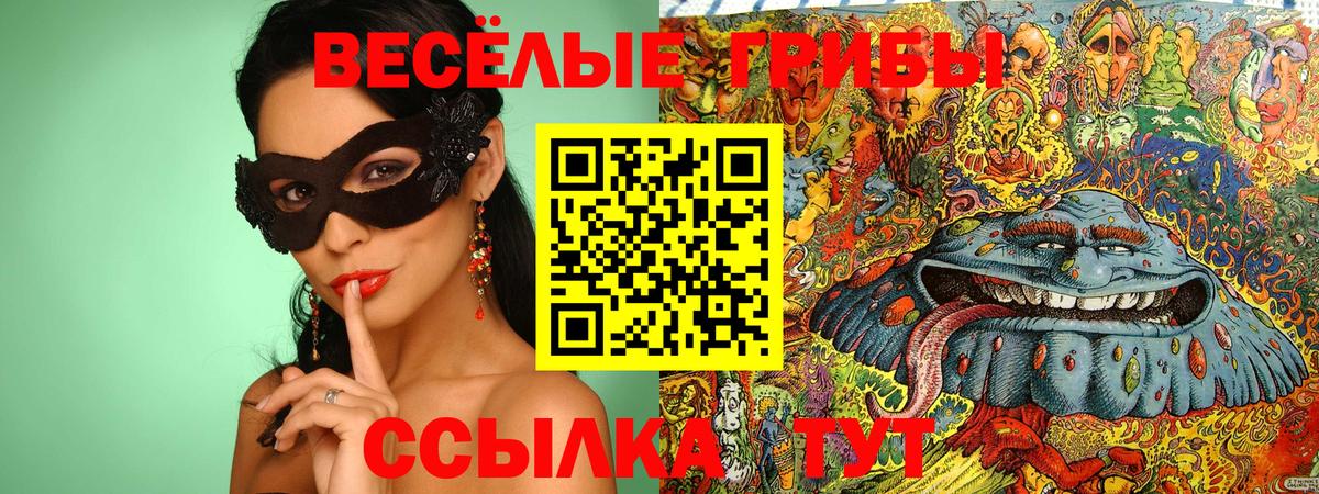 Псилоцибиновые грибы мухоморы Иваново